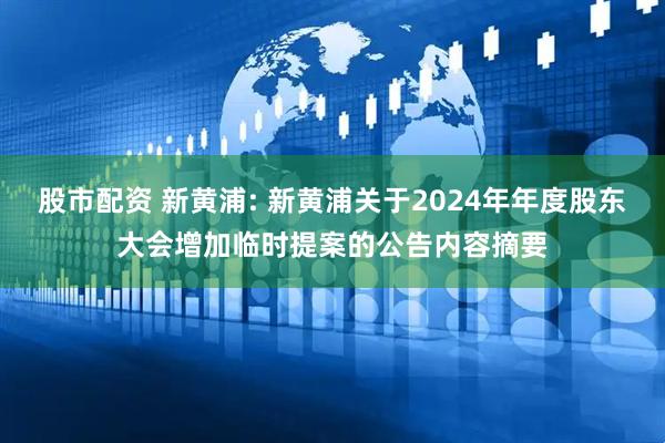 股市配资 新黄浦: 新黄浦关于2024年年度股东大会增加临时提案的公告内容摘要