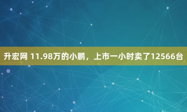 升宏网 11.98万的小鹏，上市一小时卖了12566台
