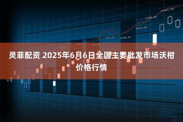 灵菲配资 2025年6月6日全国主要批发市场沃柑价格行情