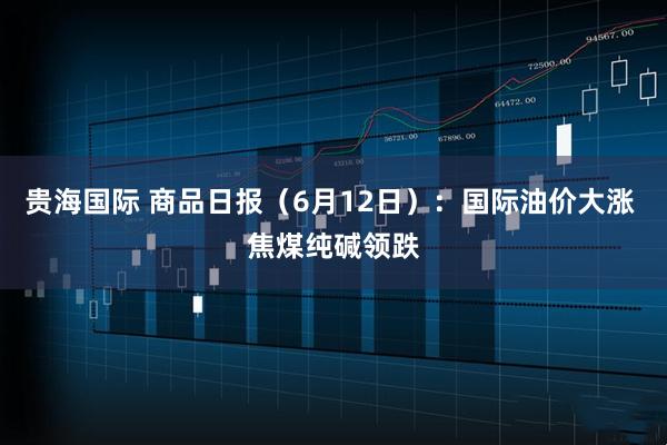 贵海国际 商品日报（6月12日）：国际油价大涨 焦煤纯碱领跌
