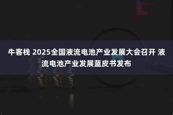 牛客栈 2025全国液流电池产业发展大会召开 液流电池产业发展蓝皮书发布