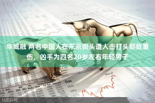 华城融 两名中国人在东京街头遭人击打头部致重伤，凶手为四名20岁左右年轻男子