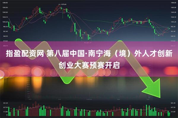 指盈配资网 第八届中国·南宁海（境）外人才创新创业大赛预赛开启