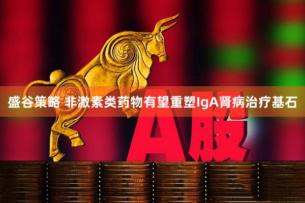 盛谷策略 非激素类药物有望重塑IgA肾病治疗基石