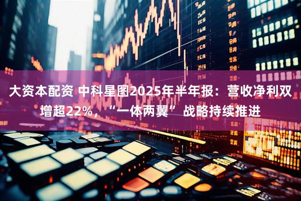 大资本配资 中科星图2025年半年报：营收净利双增超22%，“一体两翼” 战略持续推进
