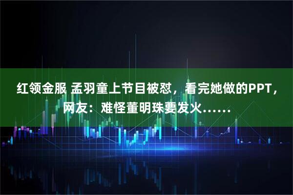 红领金服 孟羽童上节目被怼,看完她做的PPT,网友:难怪董明珠要发火……
