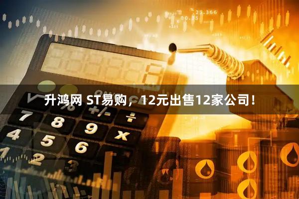 升鸿网 ST易购，12元出售12家公司！